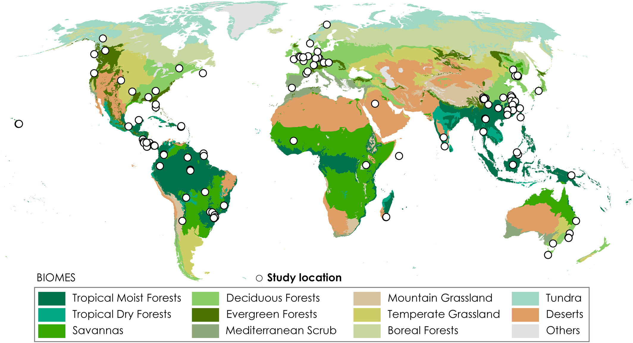 Global distribution of forest leaf litter decomposition experiment used in this study