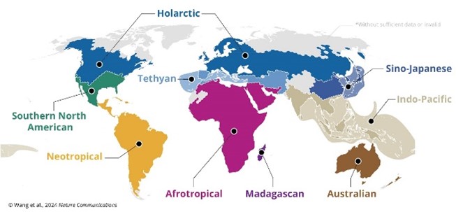 Global biogeographic realms of ants.