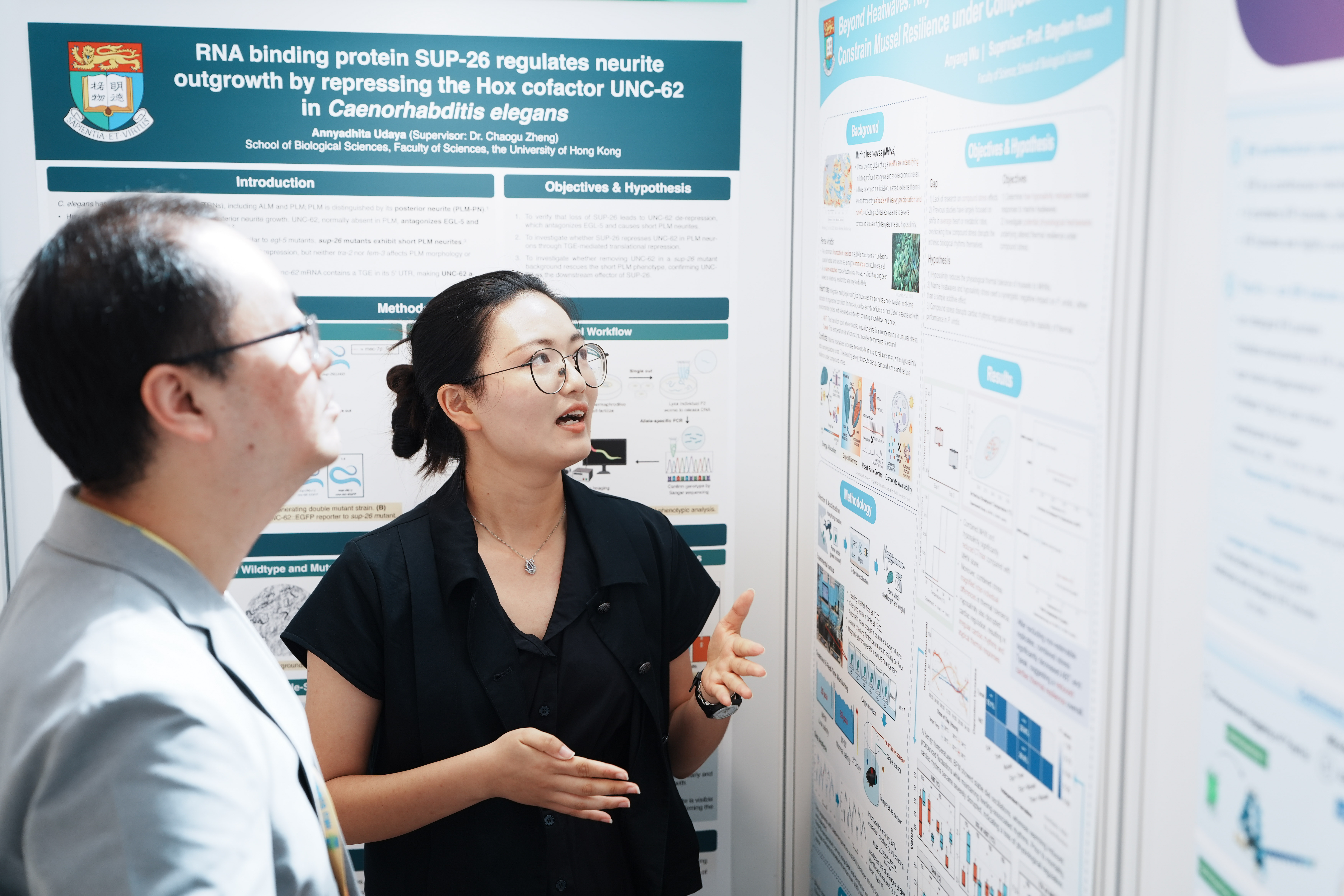Poster presentation 2