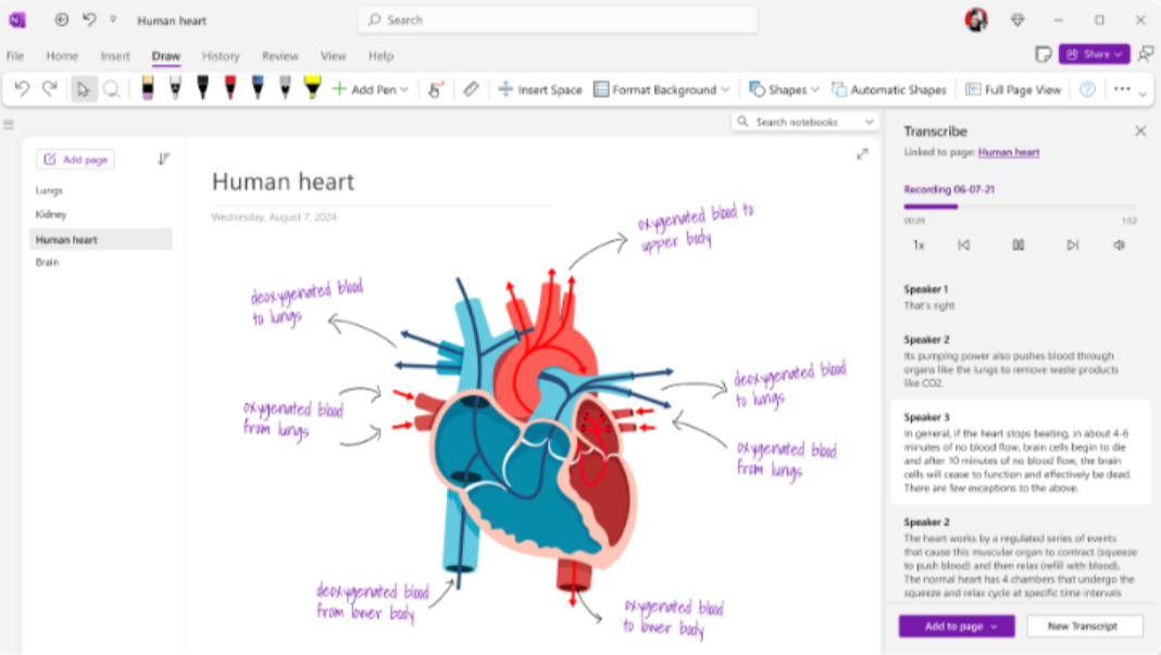 Bo’s drawing of a human heart on OneNote. 